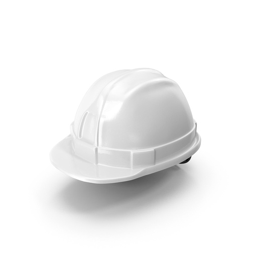 Project Manager